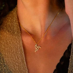 Regalo para Nuevos Comienzos